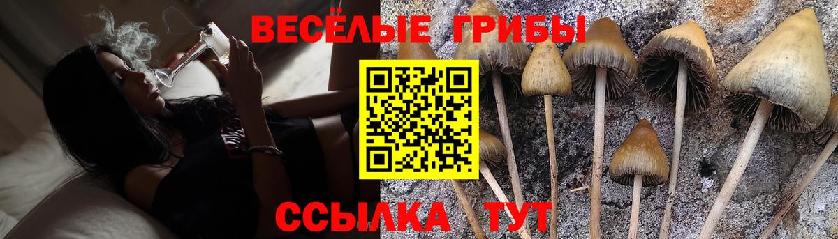 закладка  Вход с VPN  Новочебоксарск  Галлюциногенные грибы Magic Shrooms 