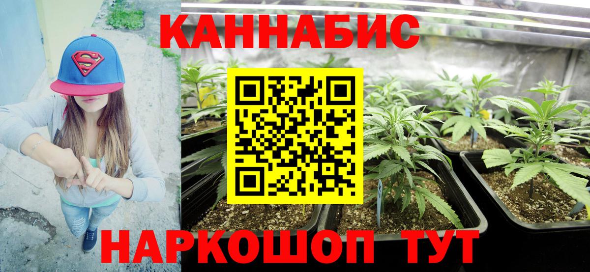Каннабис Ganja  Вход с VPN  МАРИХУАНА VHQ  Канабис LSD WEED  Каннабис семена  Новочебоксарск 